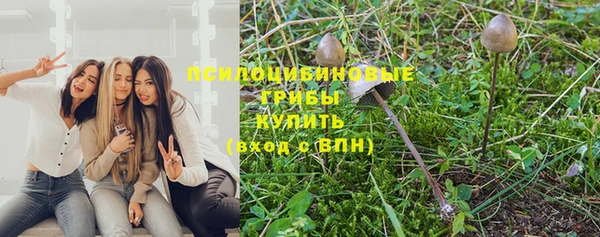 спиды Михайлов