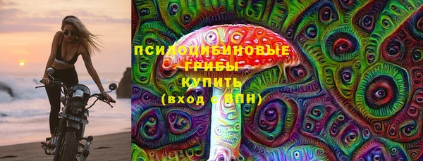 спиды Михайлов