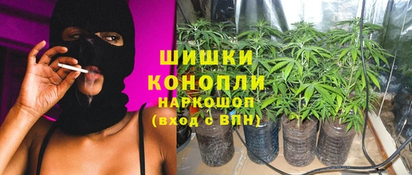 спиды Михайлов