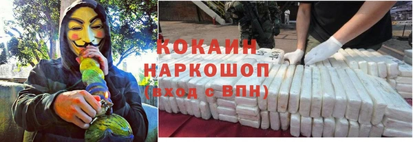 спиды Михайлов