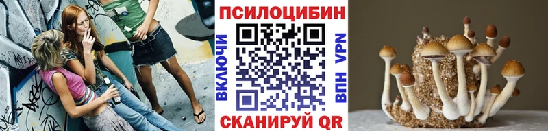 сайты даркнета состав  Энгельс  Галлюциногенные грибы Cubensis 