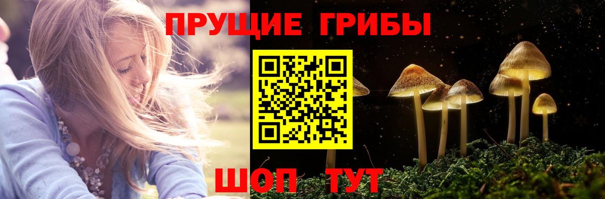 Псилоцибиновые грибы Cubensis  Вход с VPN  Галлюциногенные грибы Magic Shrooms  Энгельс 