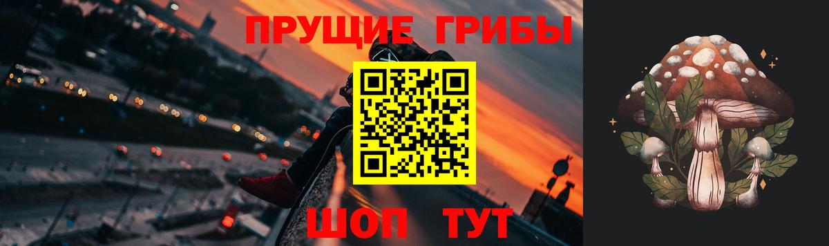 Галлюциногенные грибы Magic Shrooms Энгельс